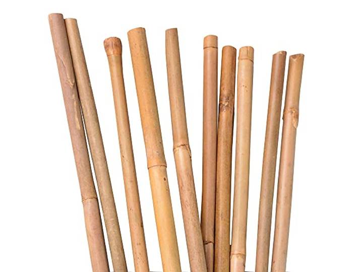 UNUS Nature by Kolibri Bamboestokken, plantenstokken voor het stabiliseren van planten in de tuin, rankstaven bamboe, 120 cm, natuurkleurig, 10 stuks