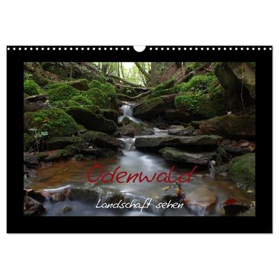 Odenwald - Landschaft sehen (Wandkalender 2027 DIN A3 quer), CALVENDO Monatskalender