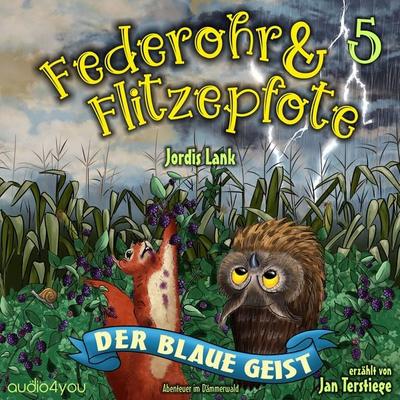 Federohr und Flitzepfote 5 - Der blaue Geist - Jordis Lank, Audio, 9783988187949