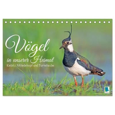 Vögel in unserer Heimat: Kiebitz, Wiedehopf und Turteltaube (Tischkalender 2026 DIN A5 quer), CALVENDO Monatskalender