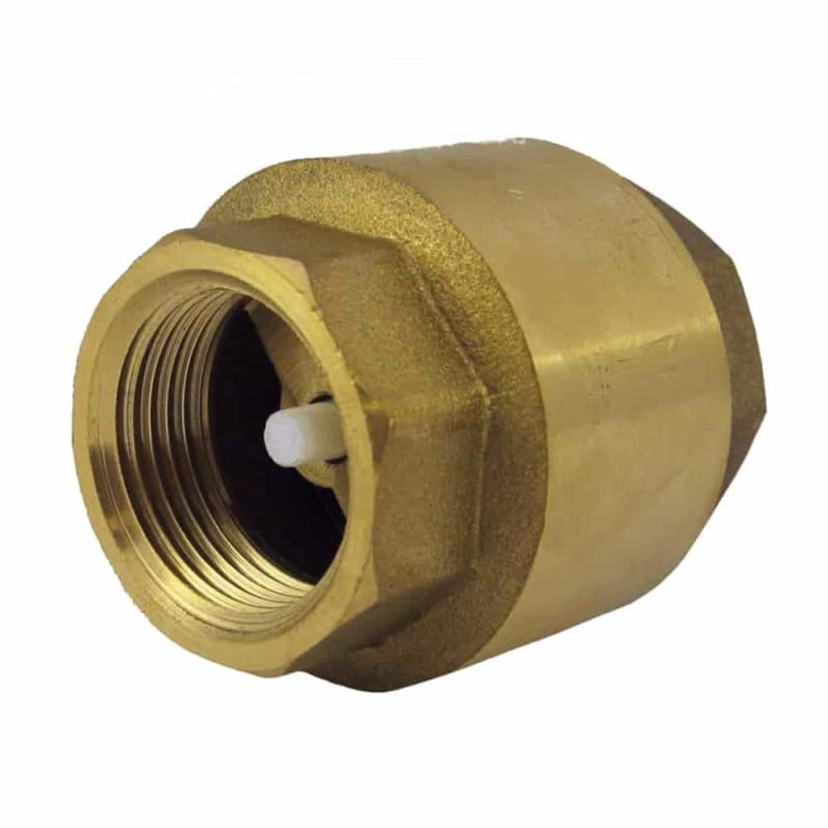 Terugslagklep met veer 3/4 inch