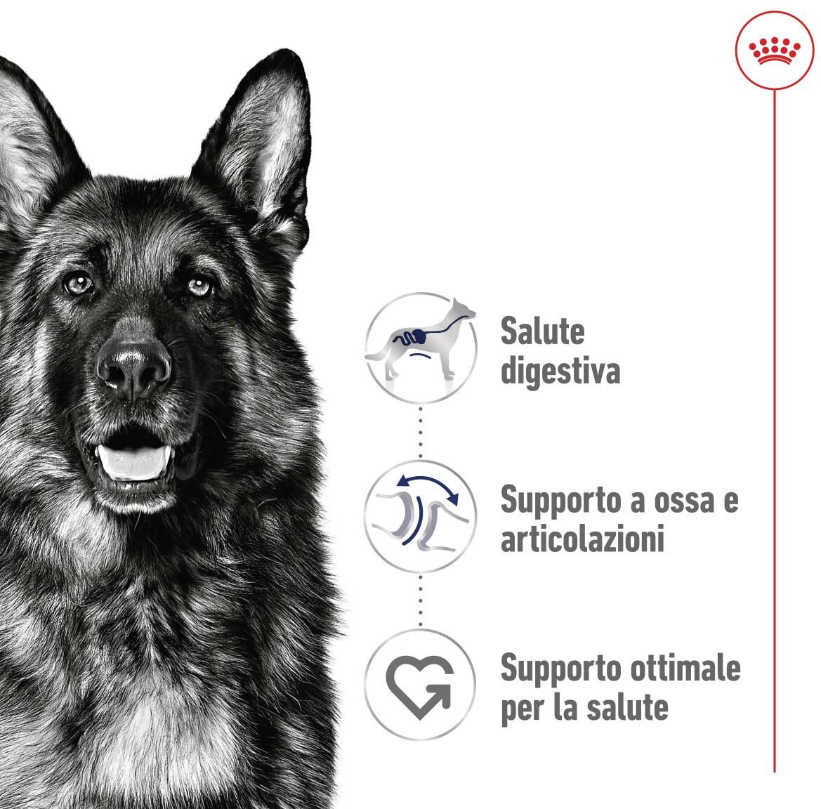Royal Canin Maxi Adult Lattina 410G CARNI