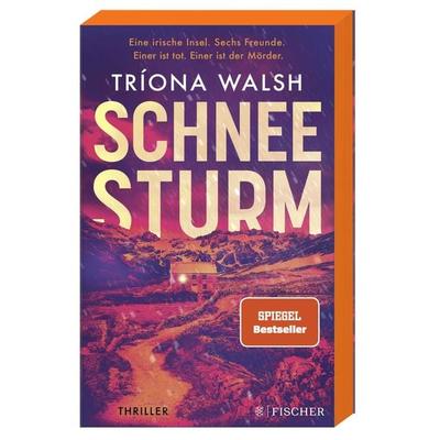 Schneesturm, Taschenbuch von Tríona Walsh, Fischer Taschenbuch Verlag