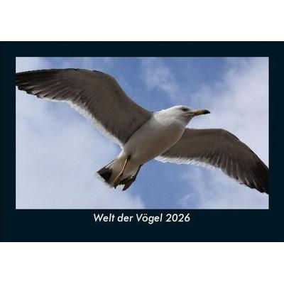 Welt der Vögel 2026 Fotokalender DIN A5