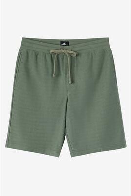 O'Neill s Bavaro Solid Shorts in Sage, Size Large, Polyester