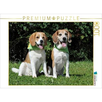 CALVENDO Puzzle Beagle Pärchen | 1000 Teile Lege-Größe 64x48cm Foto-Puzzle für glückliche Stunden