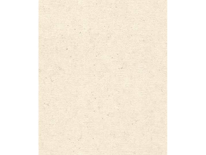 Rasch Tapeten Vliestapete (universell) Beige 10,05 m x 0,53 m Concrete 520835
