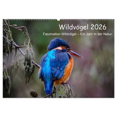 Wildvögel 2026 (Wandkalender 2026 DIN A2 quer), CALVENDO Monatskalender