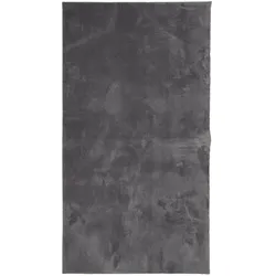 vidaXL Teppich HUARTE Kurzflor Weich und Waschbar Anthrazit 80x150 cm