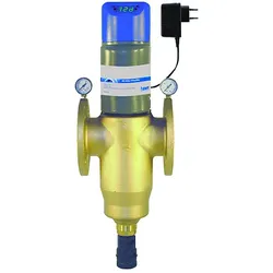 BWT Rückspülfilter 10183 65 AP, DN 65, Filtergewebe 200 μm