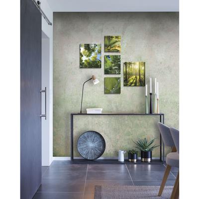 Leinwandbild ART FOR THE HOME "Pure Natur", bunt (farbe bild(er): grün, weiß), B:60cm H:100cm T:2,5cm, Bilder, Leinwandbild, grüne Stille SET 5-teilig 80x60 cm