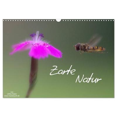 Zarte Natur 2026 (Wandkalender 2026 DIN A3 quer), CALVENDO Monatskalender