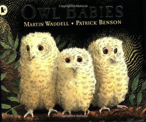 Martin Waddell - Owl Babies. (Bilderbücher) - Preis vom 10.10.2026 11:48:34 h