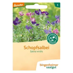 Bingenheimer Saatgut Schopfsalbei demeter