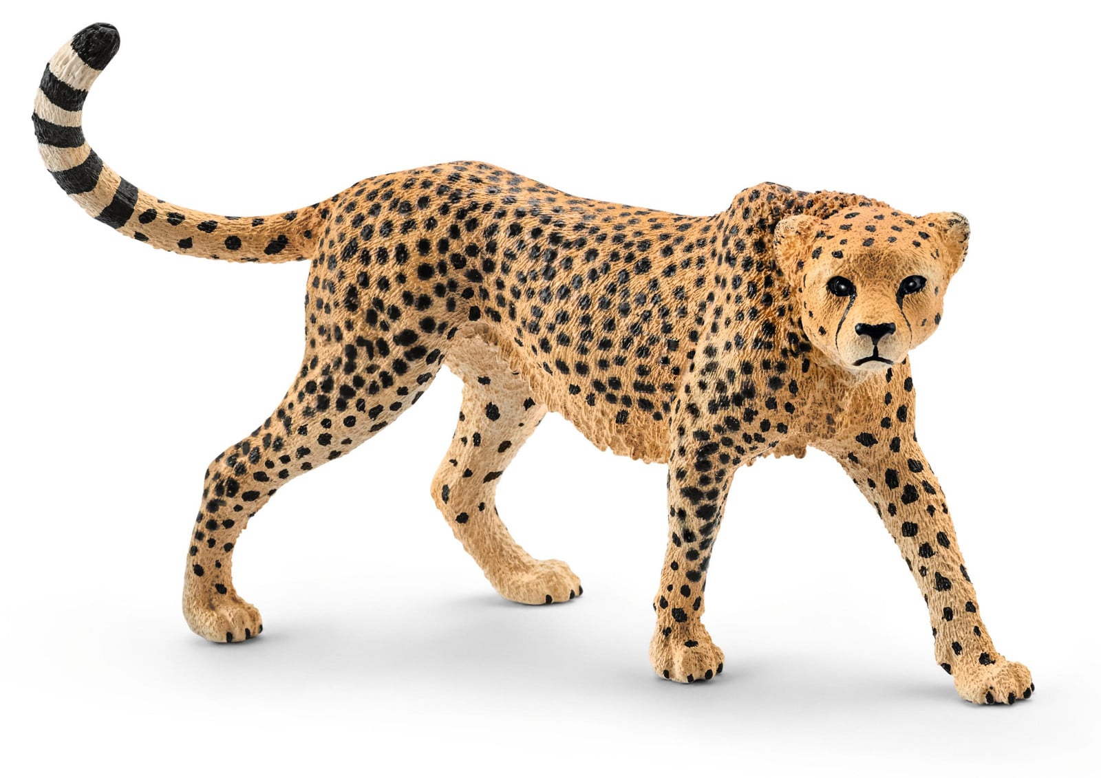 Schleich Wild Life Gepardin