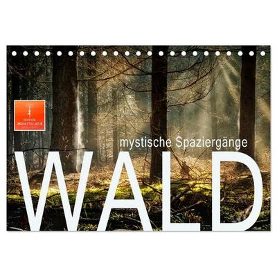 Wald - mystische Spaziergänge (Tischkalender 2027 DIN A5 quer), CALVENDO Monatskalender