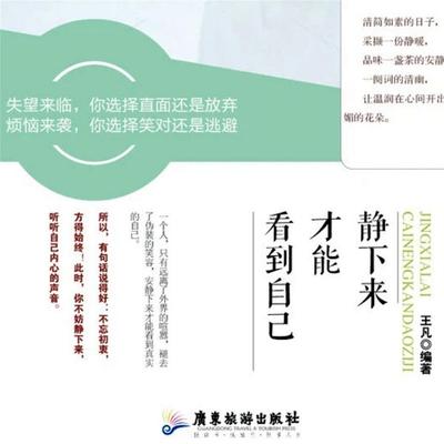 静下来才能看到自己 - 王凡, Audio, 4069828682733