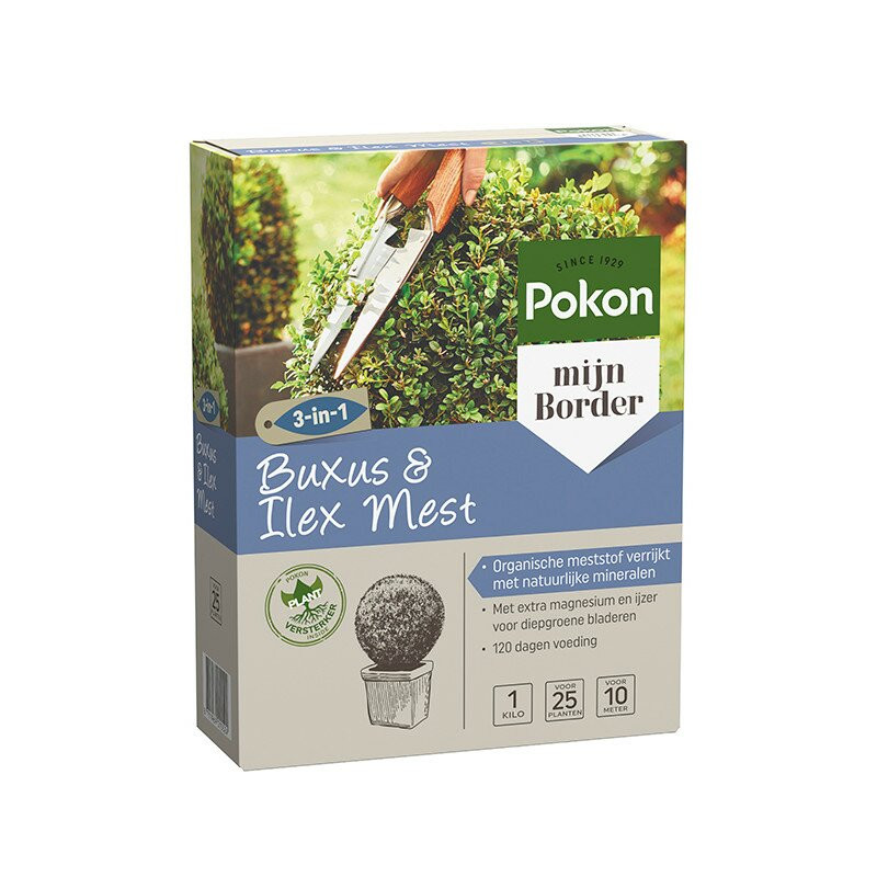 Pokon Buxus & Ilex Mest 1 kg