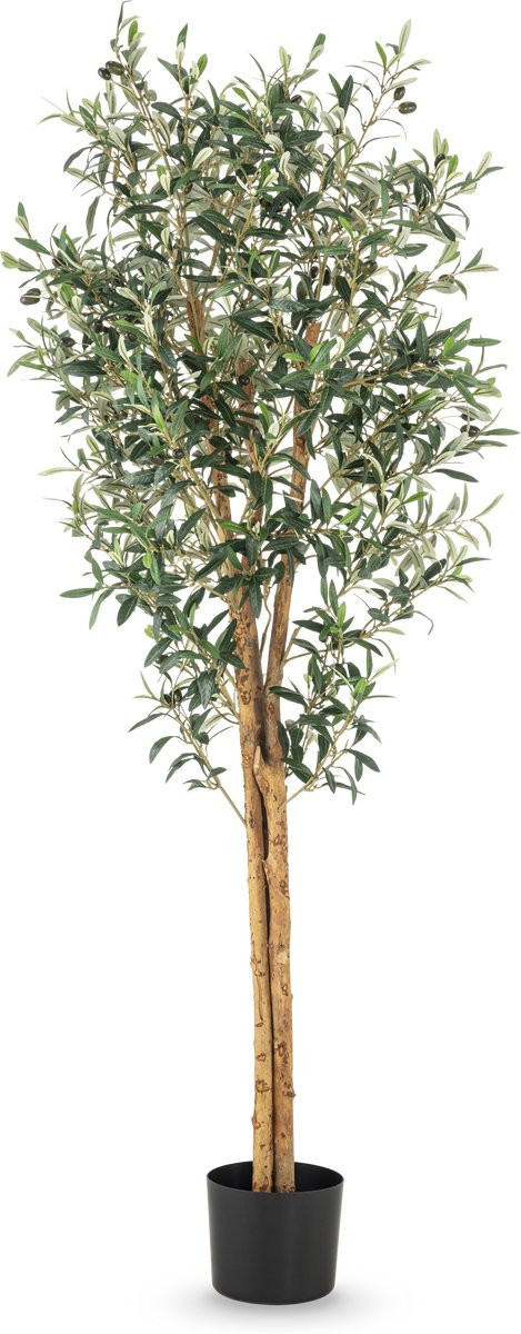 Easyplants Kunst olijfboom Olea UV-bestendig, Olijfgroen, 160 cm