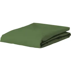 Premium Percale Bettlaken mit Gummizug 160 x 210 cm grün
