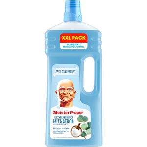 Meister-Proper Allzweckreiniger Natron, Konzentrat, mit Frischeduft, Flasche 2 Liter