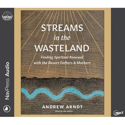 Streams in the Wasteland - Andrew Arndt, CD, 9781685924003