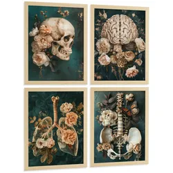 POSTER Set aus 4 Anatomie Mensch Drucke und mit Schädel Gehirn Lungen Luftröhre Bronchien Becken Wirbelsäule Florales Größe Leichter Holzrahmen A3