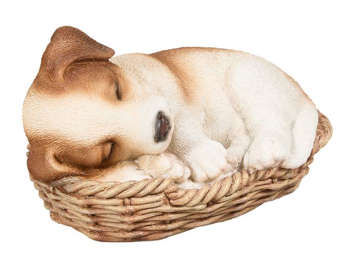 Vivid Jack Russell Welpe im Körbchen 16 × 11 × 9 cm