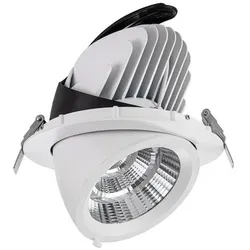 Synergy 21, Fassadenbeleuchtung, LED Downlight weiss, schwenkbar, warmweiÃ (100 lm)