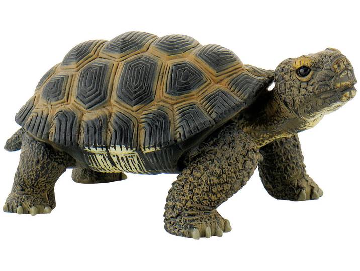 Bullyland Landschildkröte
