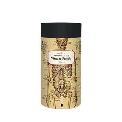 Anatomie Puzzle 1000 Teile