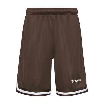 Dropsize "Dropsize Herren Dropsize Logo Mesh Shorts"