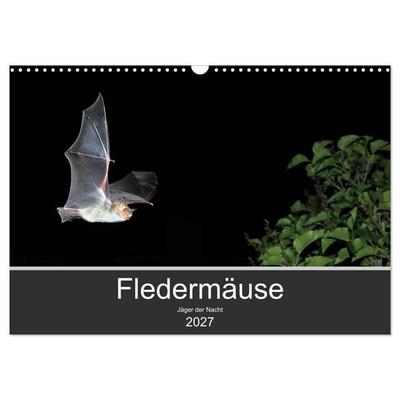 Fledermäuse - Jäger der Nacht (Wandkalender 2027 DIN A3 quer), CALVENDO Monatskalender