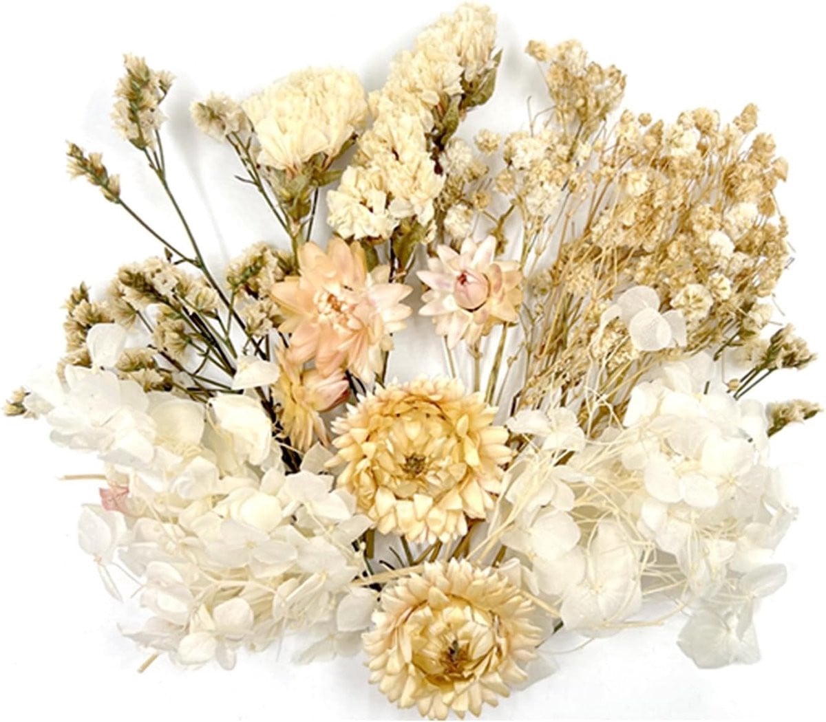 Gedroogde bloemen voor creatieve projecten, DIY, scrapbooking en epoxy resin decoratie