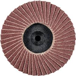 PFERD TOOLS 47202529 CDR PFF 50 A 120 Fächerschleifscheibe Durchmesser 50 mm Körnung (num) 120 Bronze, Titan, Titanlegierung, Kupfer, Messing, Edelstahl,