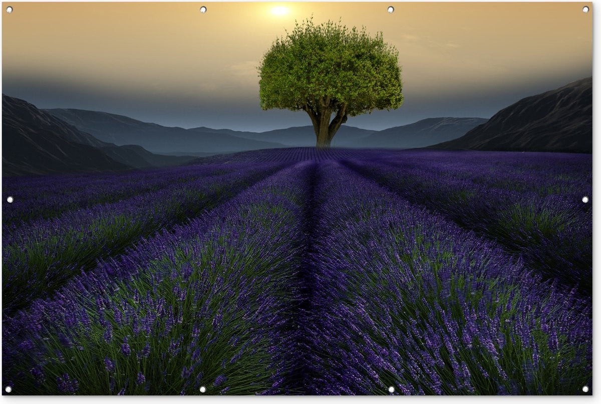 Tuinposter Lavendelgebied in zuidelijk Engeland bij zonsondergang - Tuindecoratie voor buiten - B: 120 cm, H: 180 cm