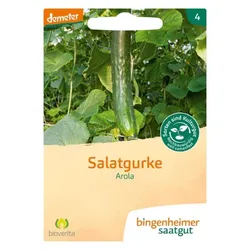Bingenheimer Saatgut Schlangengurke Arola demeter