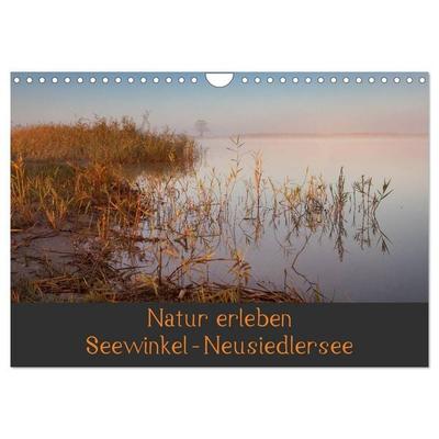 Natur erleben Seewinkel-Neusiedlersee (Wandkalender 2026 DIN A4 quer), CALVENDO Monatskalender