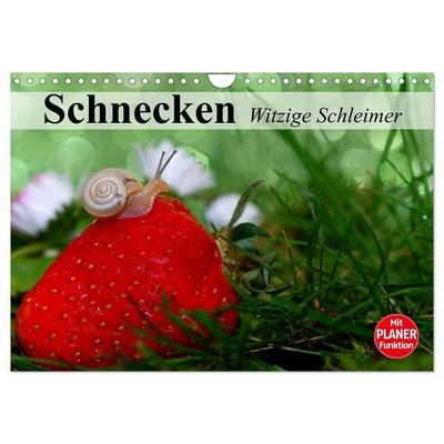 Schnecken. Witzige Schleimer (Wandkalender 2027 DIN A4 quer), CALVENDO Monatskalender