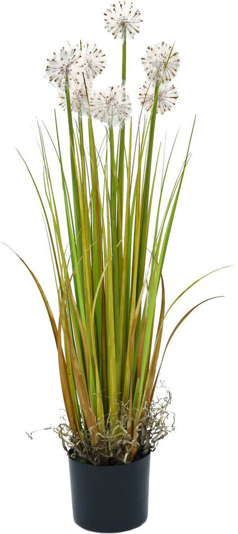 Europalms Pusteblume, 107cm