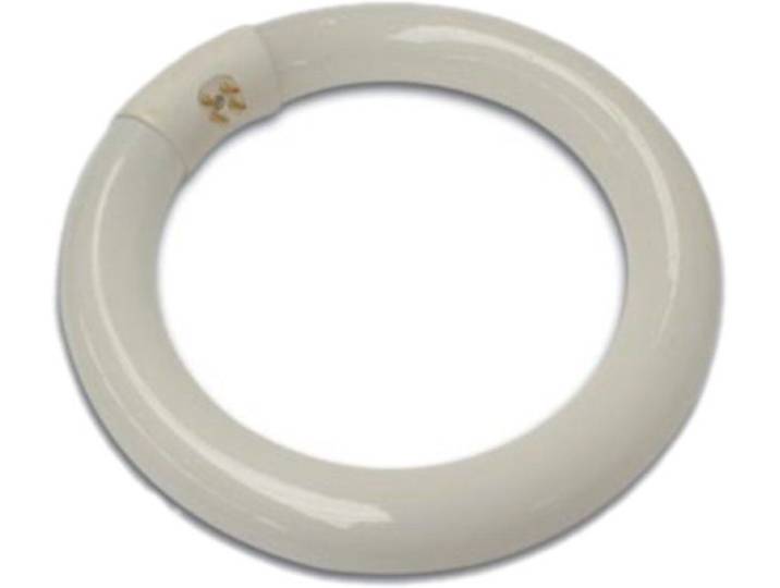 Velleman RESERVELAMP 22W - VTLAMP2 - Wit licht