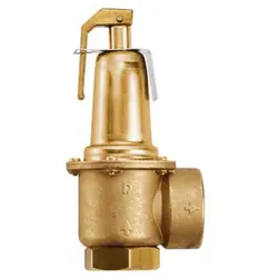 Sicherheitsventil 5 bar für KSG600