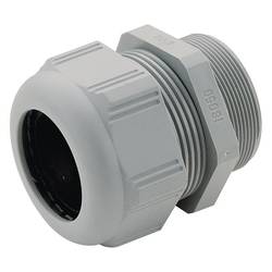 Legrand 384371 Kabelverschraubung M20 M20 Kunststoff Silber-Grau 1 St.