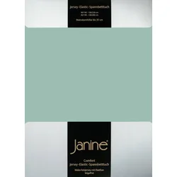 Janine Spannbetttuch Elastic-Jersey 5002 rauchgrün 150x200 cm