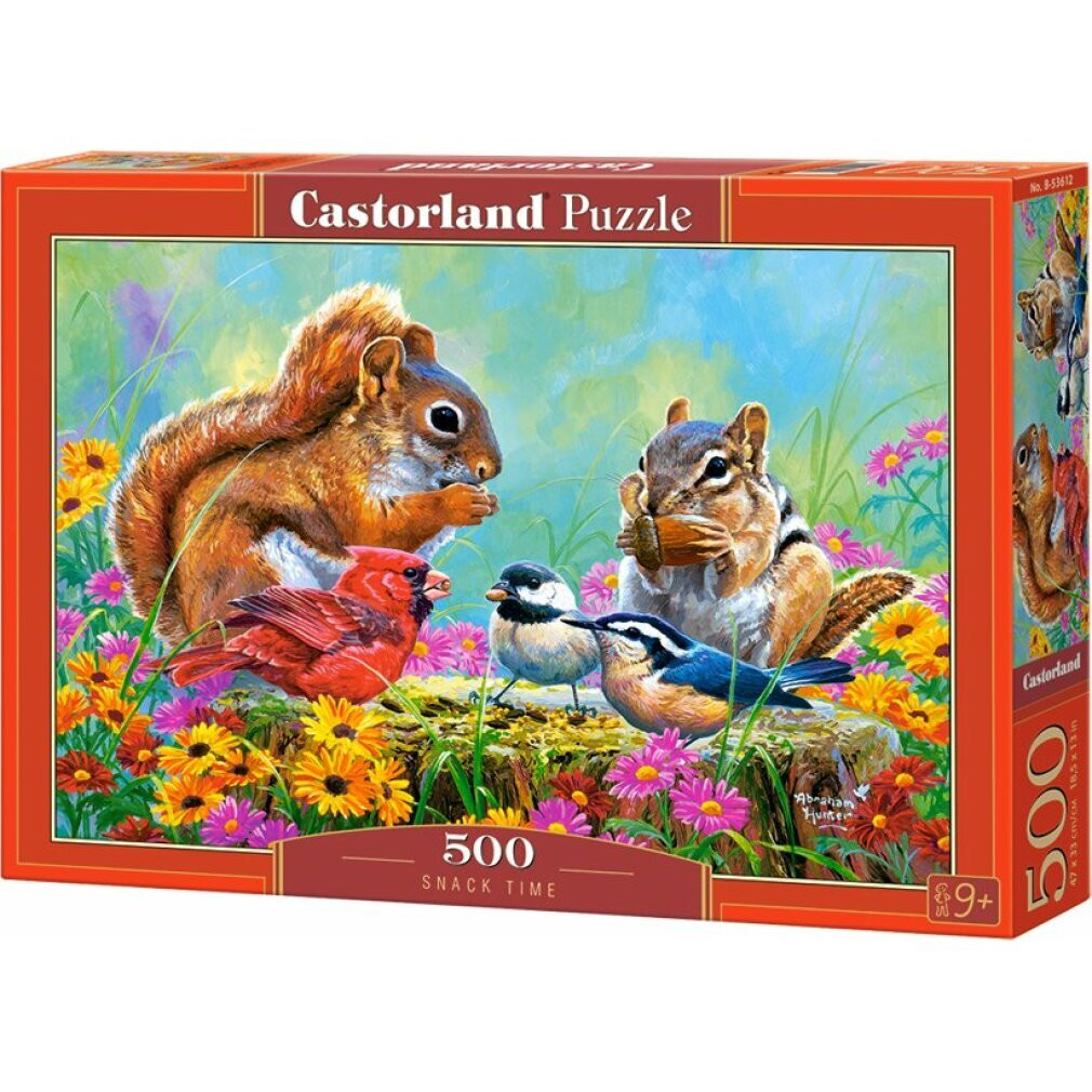 Castorland B-53612 Kunst 500 stuks