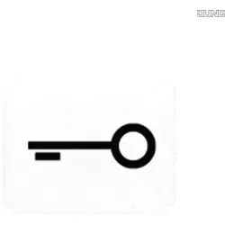 Jung Symbol alpinweiß TÜR 33 T WW