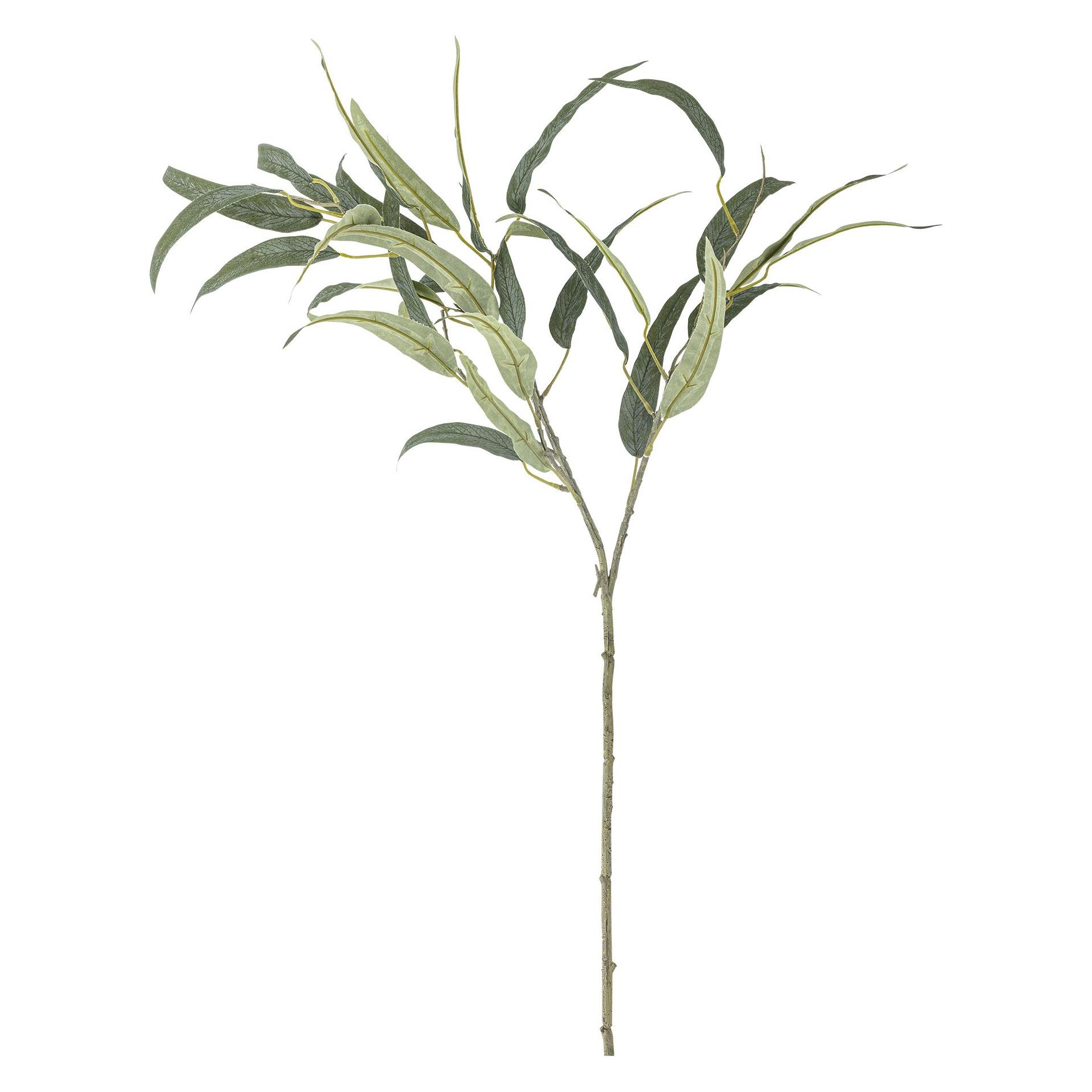 Bloomingville Eucalyptus (85 cm) (82061473)