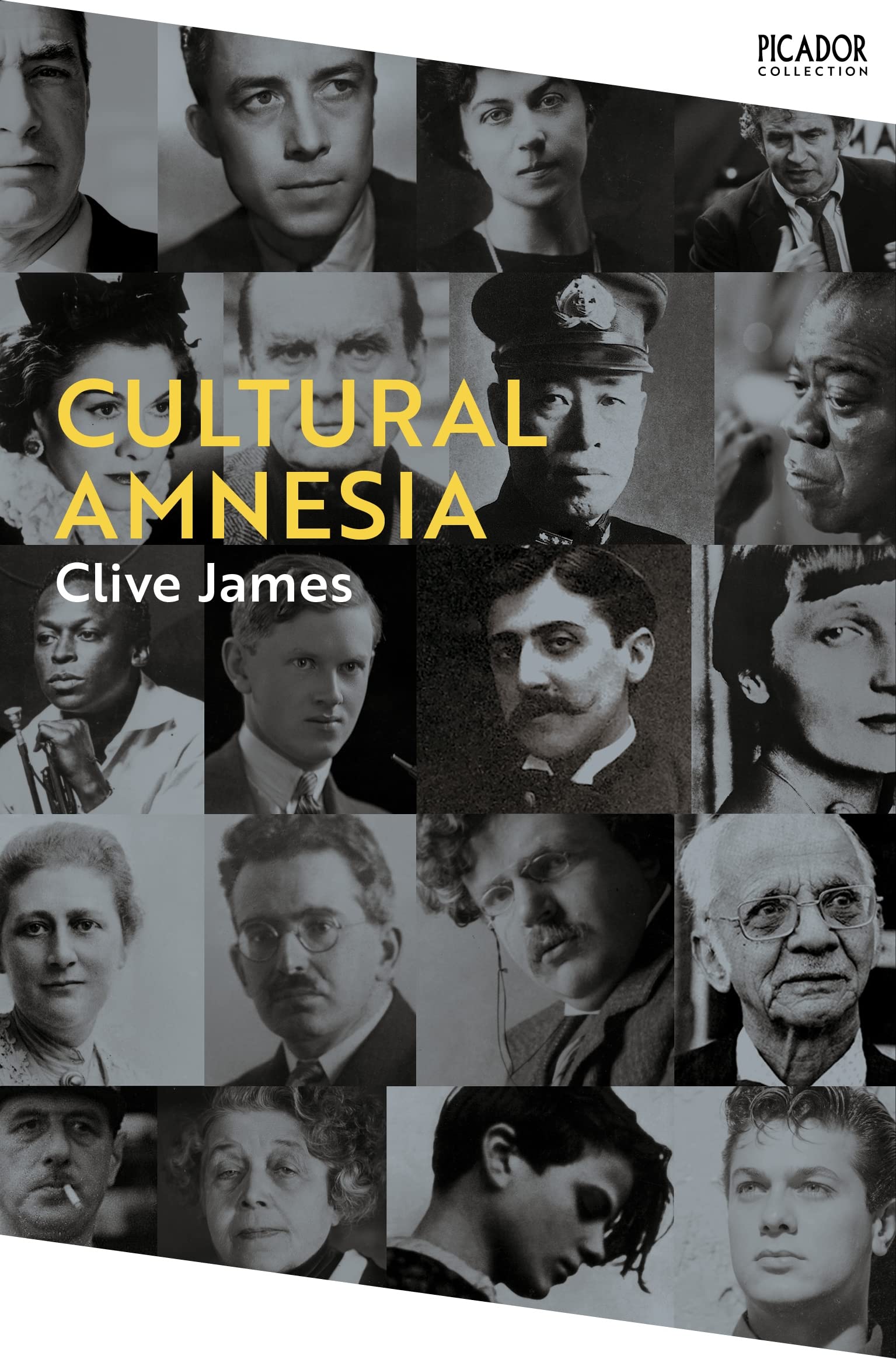 Clive James - Cultural Amnesia: Notes in the Margin of My Time (Picador Collection) - Preis vom 04.10.2026 03:51:26 h
