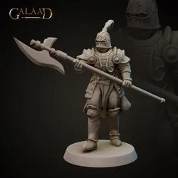 Spear Knight - Modular Head von Galaad Miniatures aus Knights Release - Modular Heads