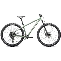 Specialized Mountainbike Rockhopper Comp 29 Gloss Pistachio / White Mountains 20... - XL - XL